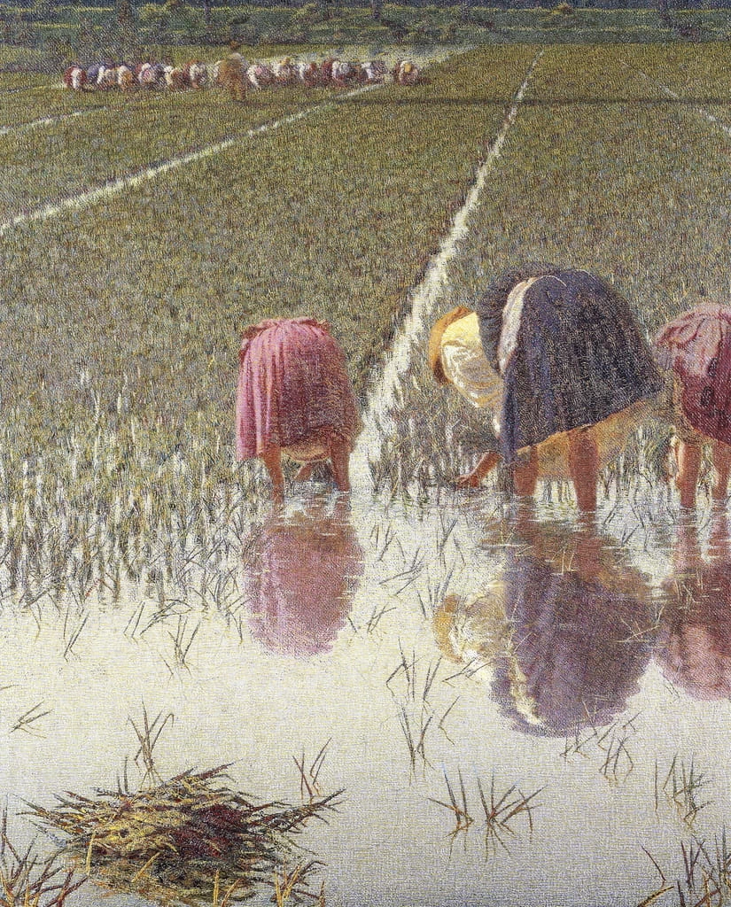 Per ottanta centesimi - Museo Civico Francesco Borgogna, Vercelli, dettaglio